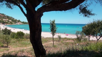 Plage à proximité, chaises longues, serviettes de plage
