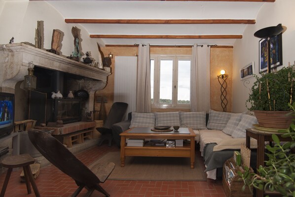 TV, fireplace, DVD player, books