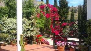 A garden with potted plants and a cactus.