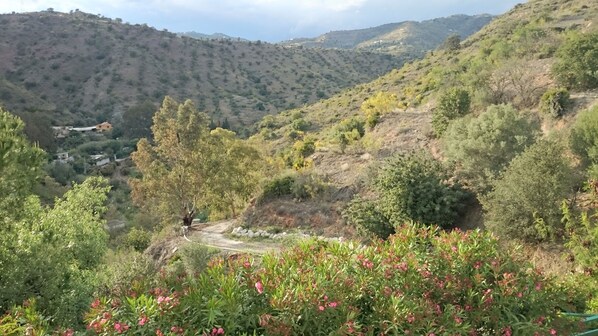 منظر من الجو على ارتفاع عالٍ