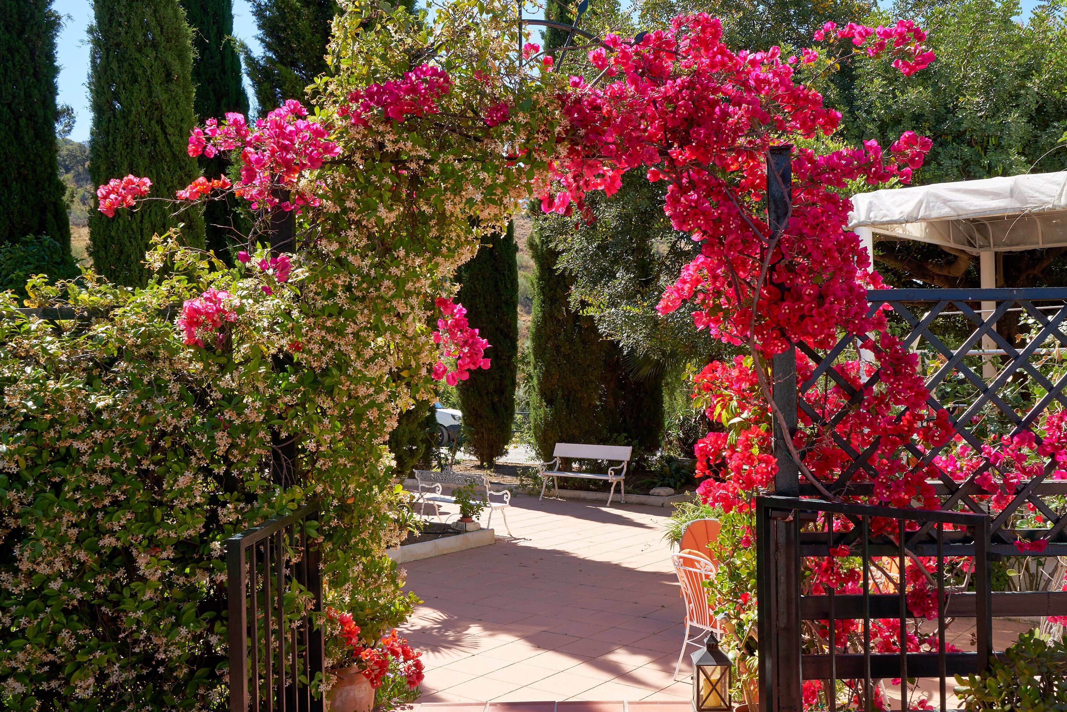 Enceinte de l’hébergement