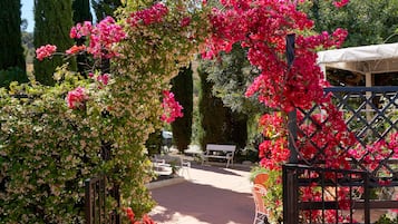 Terrein van de accommodatie