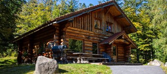 Superbe chalet rondins de 150 m² au cœur des Vosges, sauna, wifi, groupe, famille
