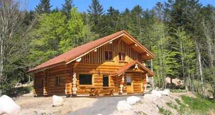 Superbe chalet rondins de 150 m² au cœur des Vosges, Sauna, wifi, groupe, famille