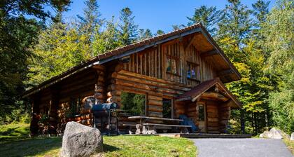 Superbe chalet rondins de 150 m² au cœur des Vosges, sauna, wifi, groupe, famille