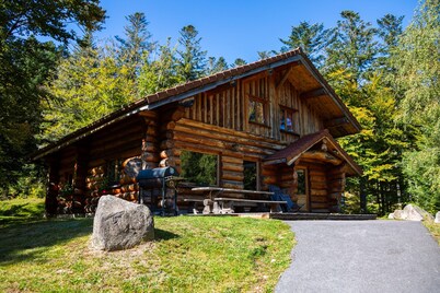 Superbe chalet rondins de 150 m² au cœur des Vosges, sauna, wifi, groupe, famille