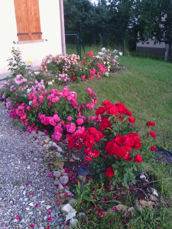 A garden with a variety of flowers, including red, pink, and white blooms, and a gravel path. - house adapted for disabled. (Saint-Père)