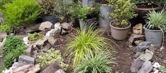 House in a quiet wooded area with garden 3km from MORLAIX