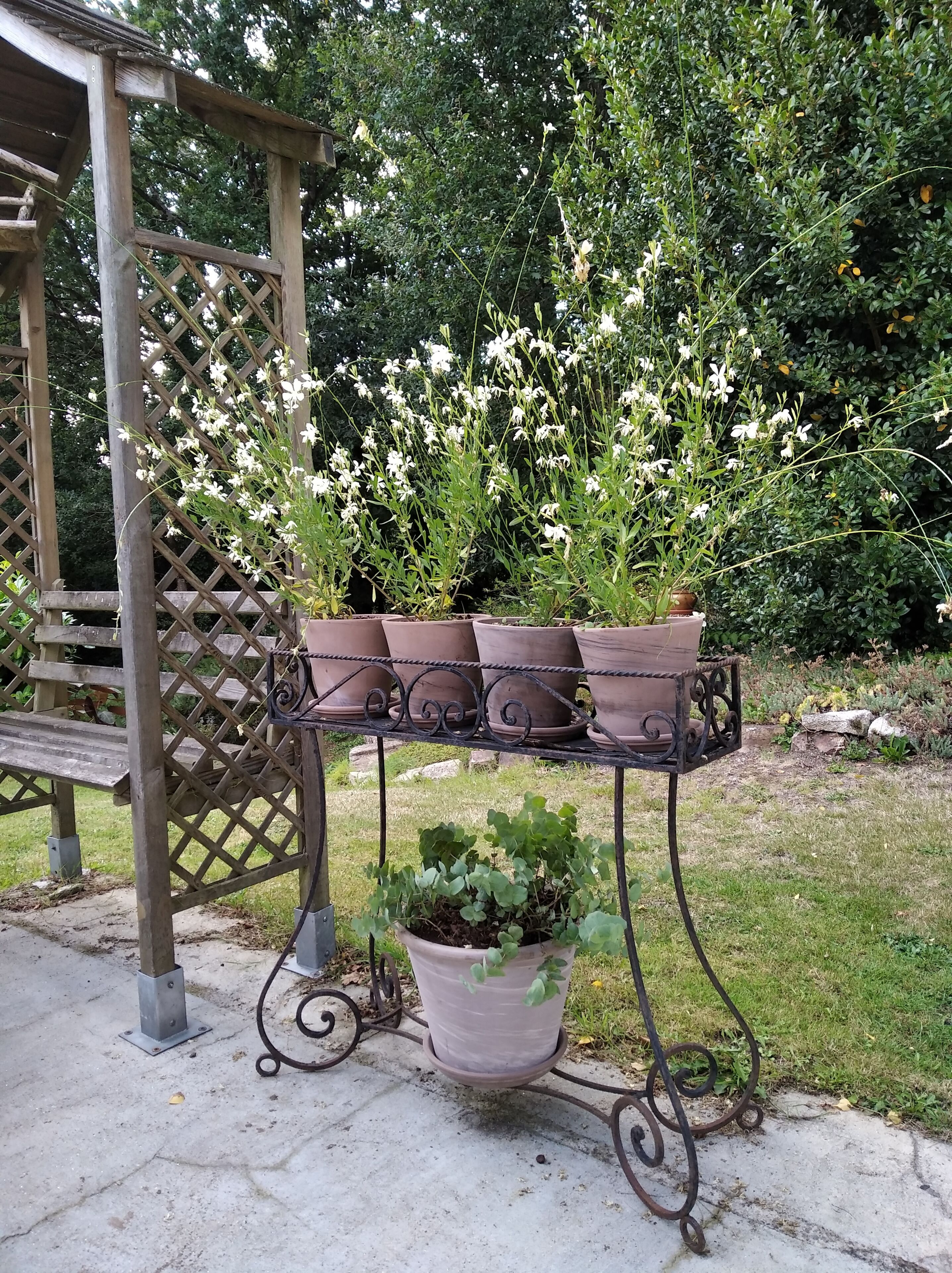 Ein Garten mit einem Metalltisch, der Blumentöpfe und eine Holzpergola beherbergt.