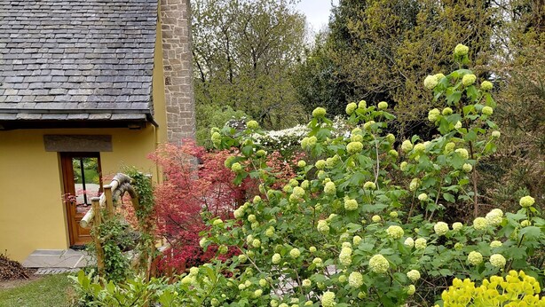 Une maison avec une cheminée en pierre, une porte jaune et un jardin où poussent différentes espèces de plantes.