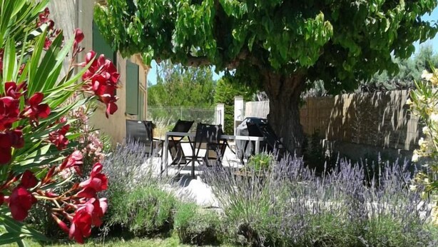 A patio with outdoor furniture, a tree, and a garden with lavender plants. - 5 minutes from the ochre mines Gîte la Charité next to Gordes Roussillon (Gargas)