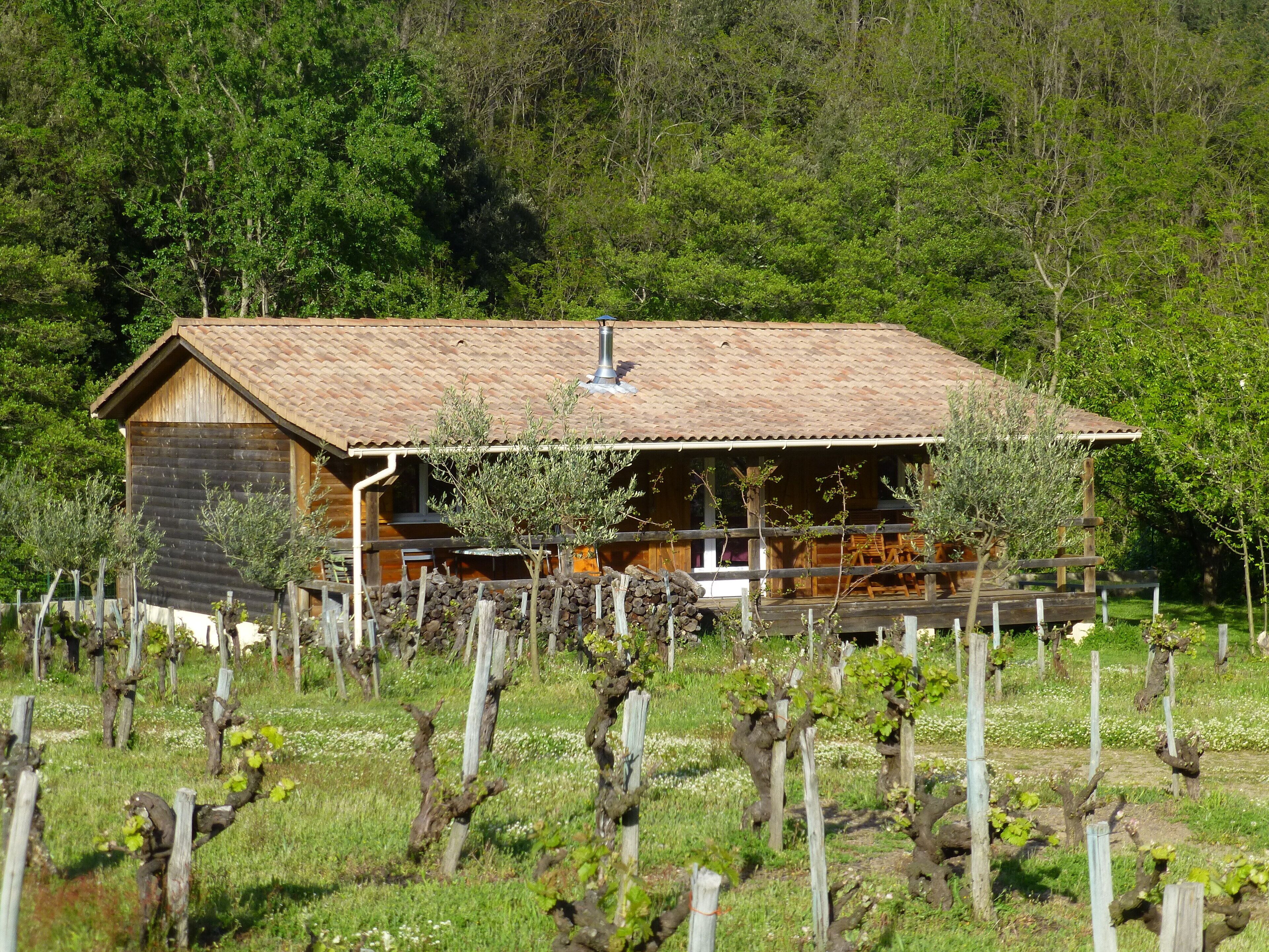 Une maison rustique en bois, avec un toit de tuiles, entourée d’un vignoble.