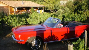 Un'auto decappottabile rossa d'epoca parcheggiata in un ambiente rurale, con una casa in legno e vegetazione rigogliosa sullo sfondo.