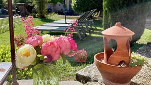 Un patio giardino con un tavolo in pietra, una pianta in vaso di terracotta e diversi fiori.