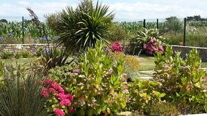 Un jardín con diversas plantas y flores, entre ellas hortensias rosadas y una yuca de gran tamaño.