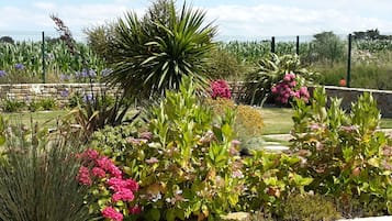 Jardines del alojamiento