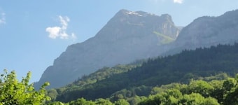 GRANJA UBICADO EN EL CORAZÓN DE LA ALTA SABOYA a medio camino entre Chamonix, Annecy, Ginebra