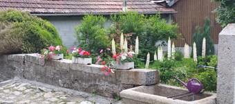 FARM LOCATED IN THE HEART OF THE HIGH-SAVOIE HALFWAY BETWEEN Chamonix, Annecy, Geneva