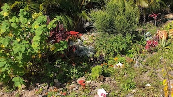 Jardines del alojamiento