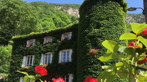 A building with a tower covered in greenery, surrounded by lush hills. - Family Castle Life  (Mérial)