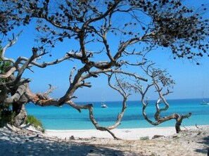 Beach nearby - Modern Villa With Heated Pool - Saint Florent - (Saint-Florent)