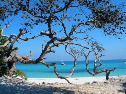 Modern Villa With Heated Pool - Saint Florent -