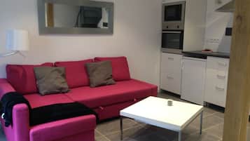 TV, DVD player, books, video library