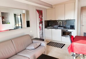 TV, books - Charming, contemporary and comfortable villa with swimming pool. (Sainte-Maxime)