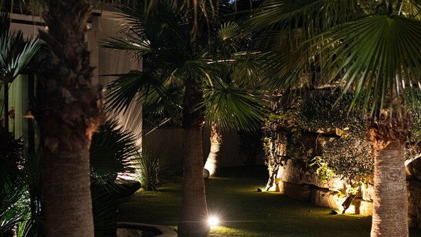 Un jardín bien iluminado con palmeras y una luminaria esférica.