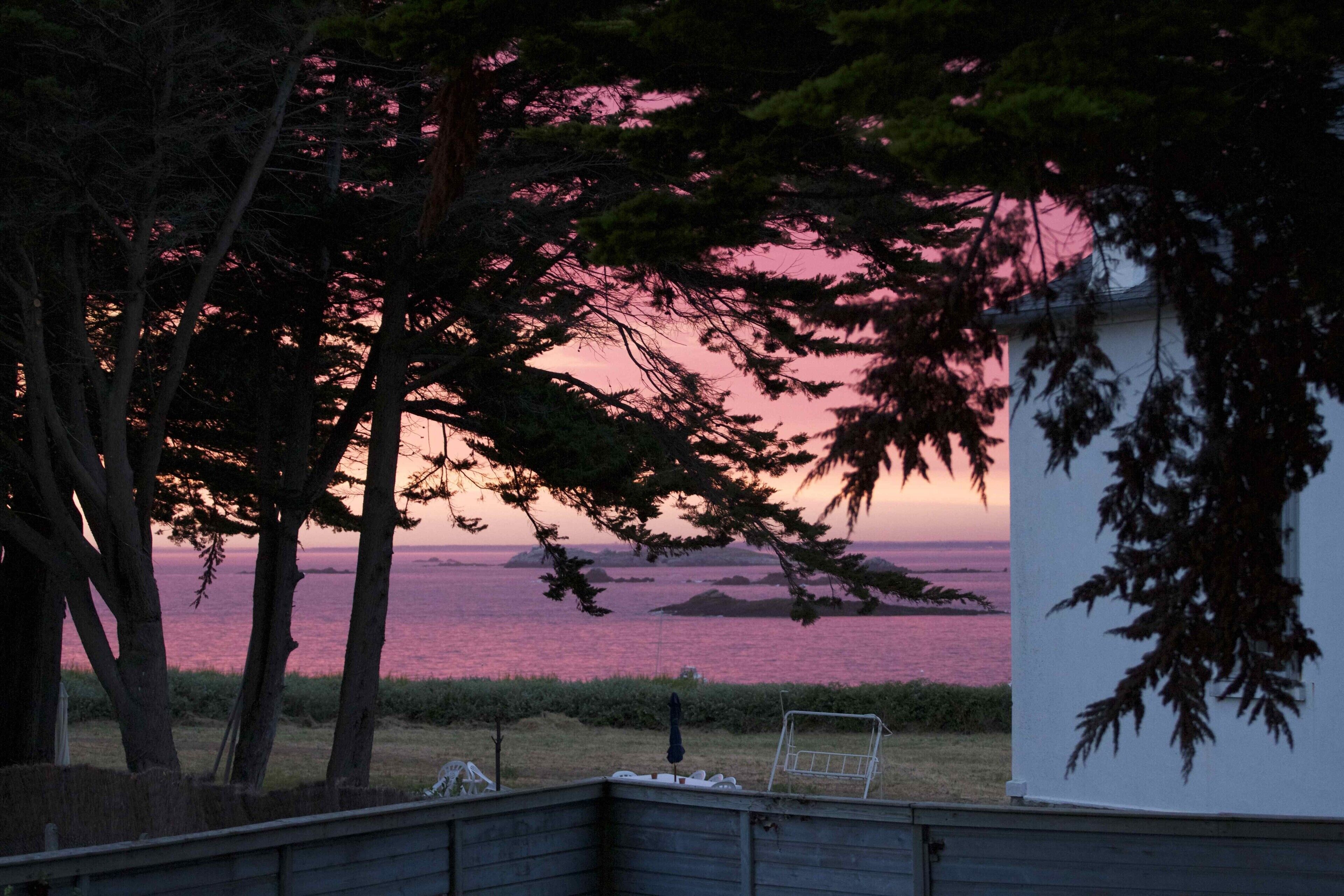 A view of a coastal area with trees and a body of water during sunset.