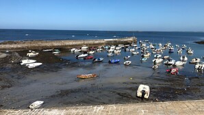 A beach with numerous boats docked and anchored in the water, a concrete breakwater, and a clear sky.