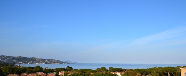 Unclassified image, 1 of 26, button