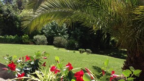Un jardín con una jardinera de concreto llena de flores rojas y follaje verde.
