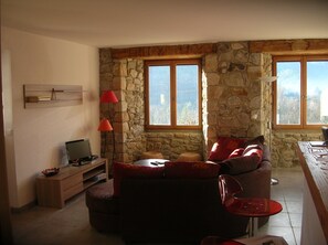 Téléviseur, foyer, table de ping-pong