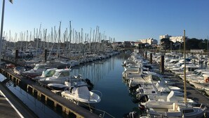 Un puerto deportivo lleno de numerosas embarcaciones amarradas a la orilla.