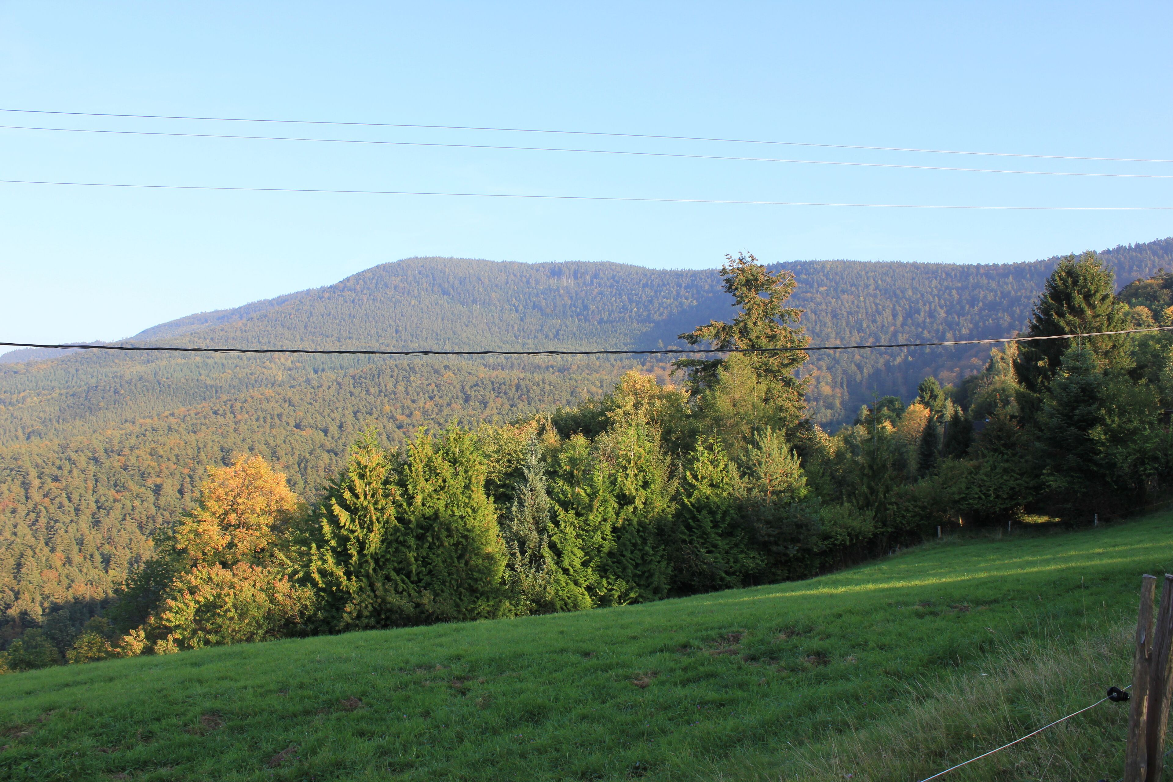 A grassy field with a wooden fence and a power line.