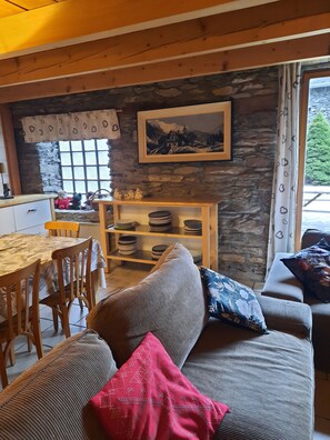 TV, fireplace, DVD player - TYPICAL PYRENEAN CHALET BARN, ENCLOSED GARDEN, 5 MINS FROM LUCHON (Antignac)