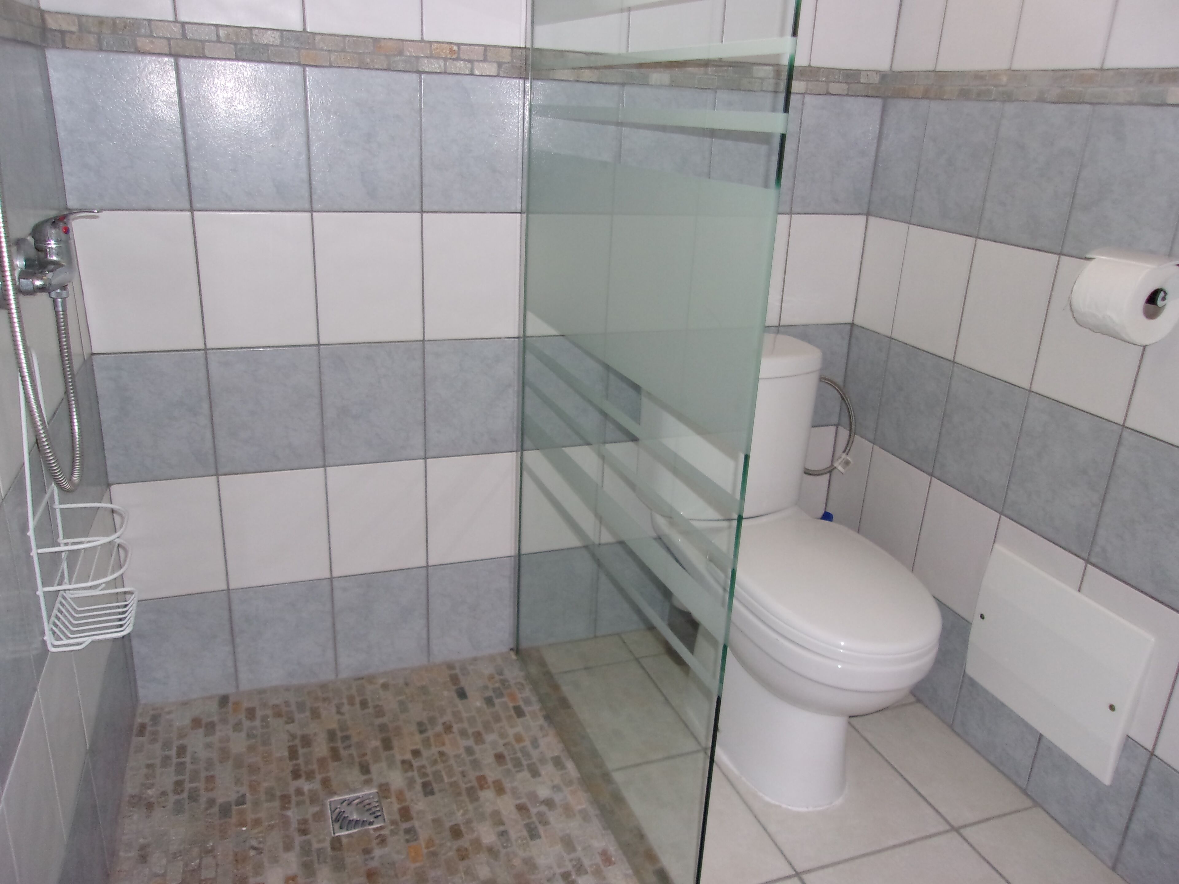 A bathroom with a glass shower enclosure, a toilet, and a tiled floor with a mosaic pattern.