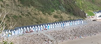 Come and discover the sea and the countryside in beautiful Normandy(50)