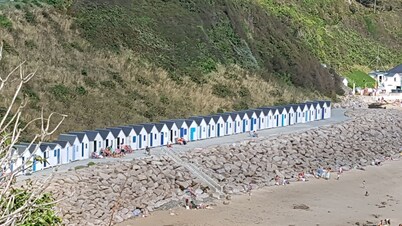 Come and discover the sea and the countryside in beautiful Normandy(50)