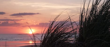 Vlak bij het strand