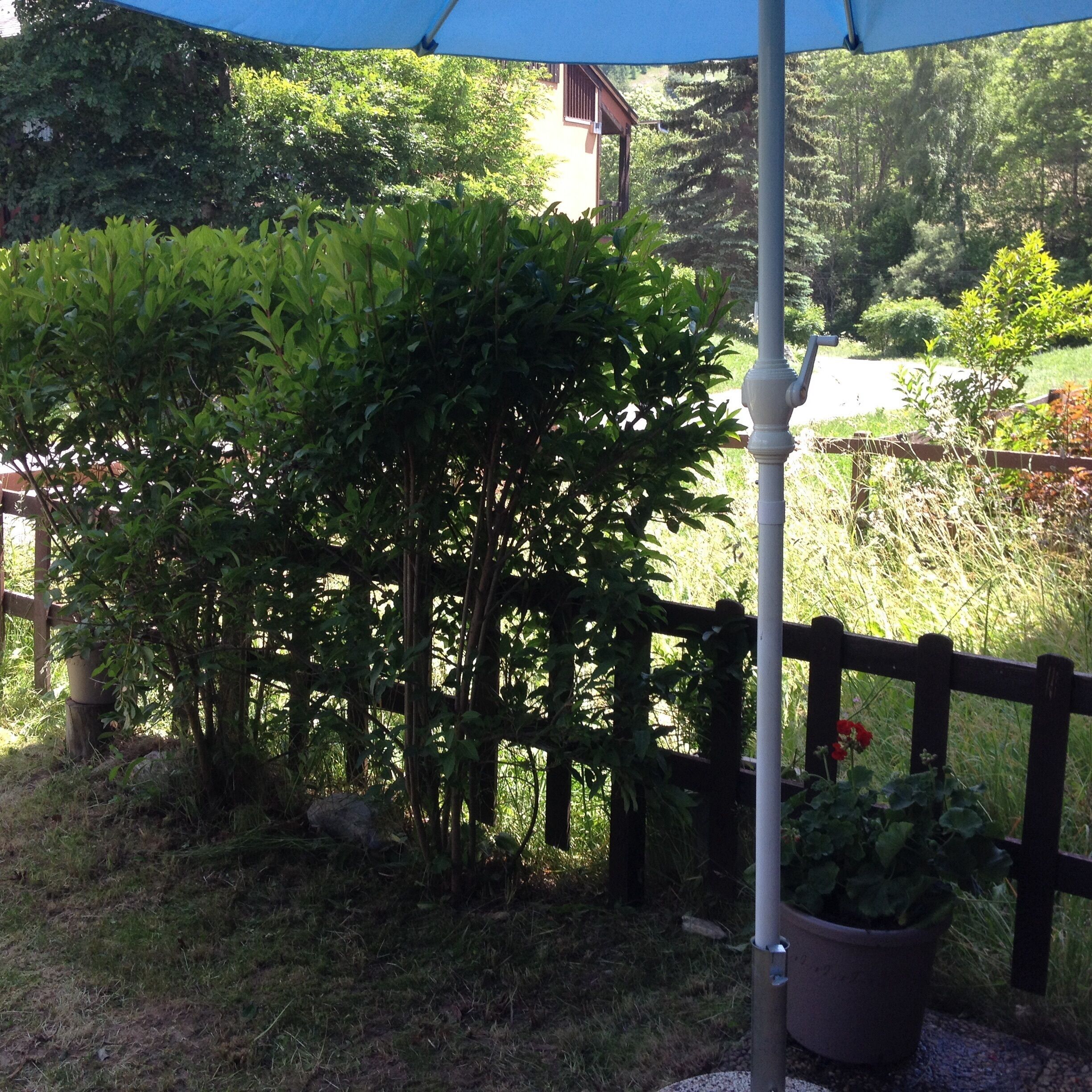 Áreas de la propiedad