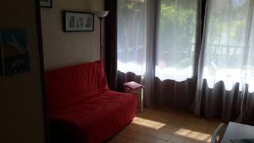 TV, DVD player, books, video library