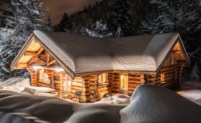 Sublime chalet rondins de 140 m² en lisière de forêt et ruisseau, La Bresse, wifi