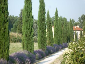 Property grounds - Farmhouse in Provence, farmhouse, private in a 7 hectares park, heated pool (L'isle-Sur-La-Sorgue)
