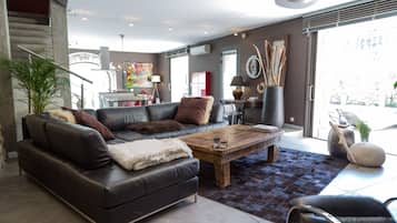 TV connectée, cheminée, lecteur de DVD, livres