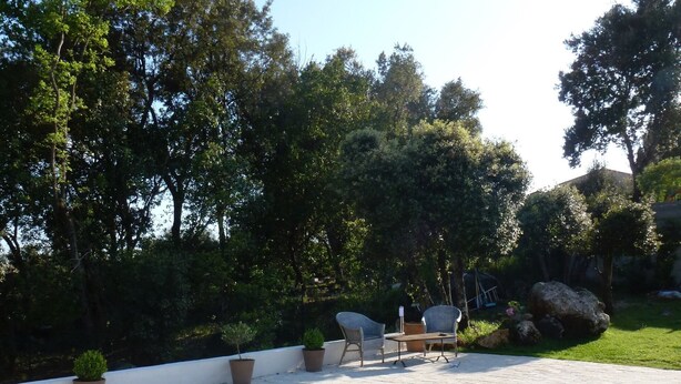 A rectangular swimming pool with a tiled deck, surrounded by potted plants and outdoor furniture.