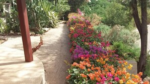 Un sendero bordeado de flores coloridas y follaje, que conduce a un espacio cubierto con techo de paja.