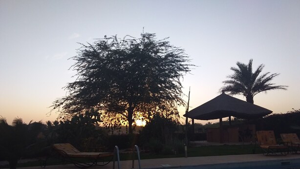 Una piscina con sillas de descanso y un pabellón, rodeado de árboles y con un atardecer de fondo.