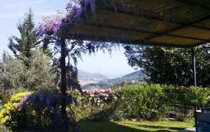 Property grounds - The old mill (Rapallo)